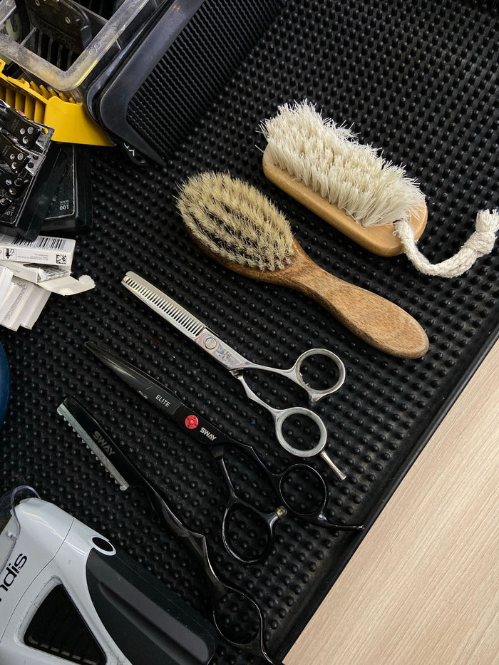 The At-Home Grooming Checklist: 7 Essentials Every Dog and Cat Owner Needs - PawSheen