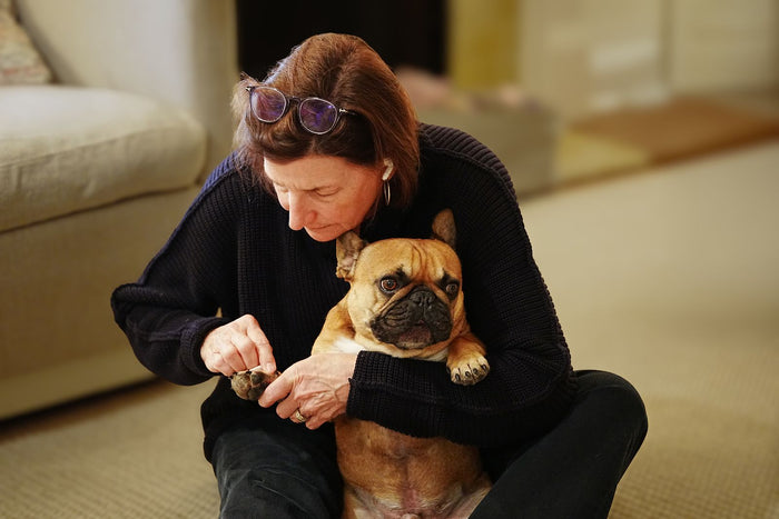Quiet Dog Clippers: What to Look For (and Why Noise Matters) - PawSheen