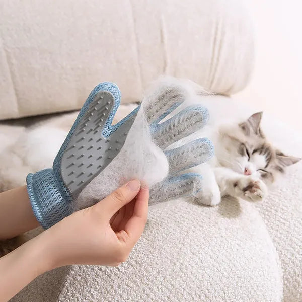 Cat being groomed with the PawSheen deshedding glove