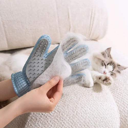 Cat being groomed with the PawSheen deshedding glove