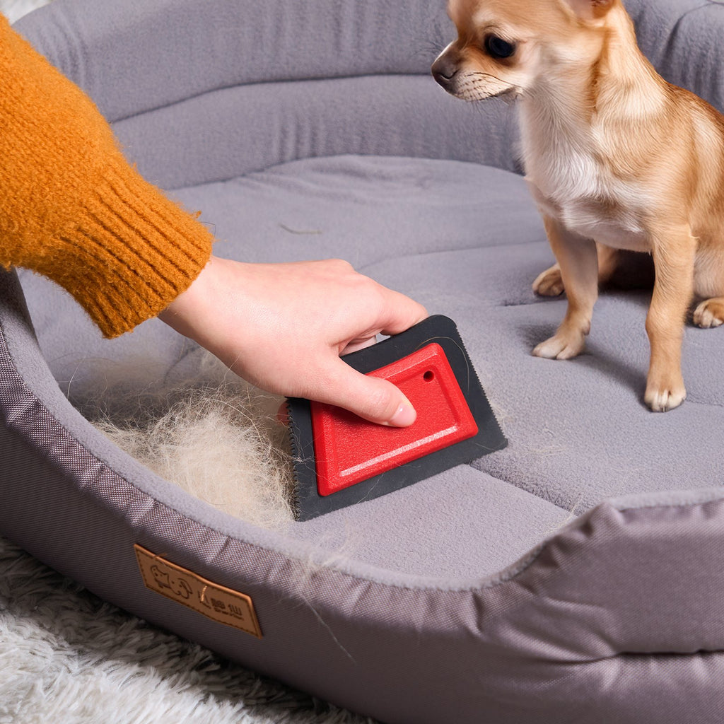 Removing dog hair from a pet bed with the PawSheen pet hair remover