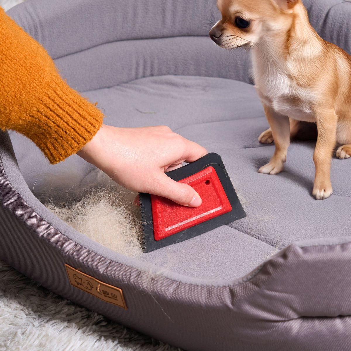 Removing dog hair from a pet bed with the PawSheen pet hair remover