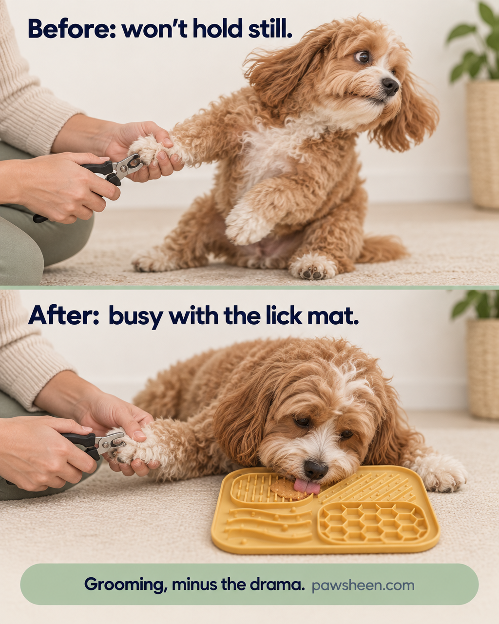 Before and after: a dog that won't hold still, then busy with the lick mat during a nail trim