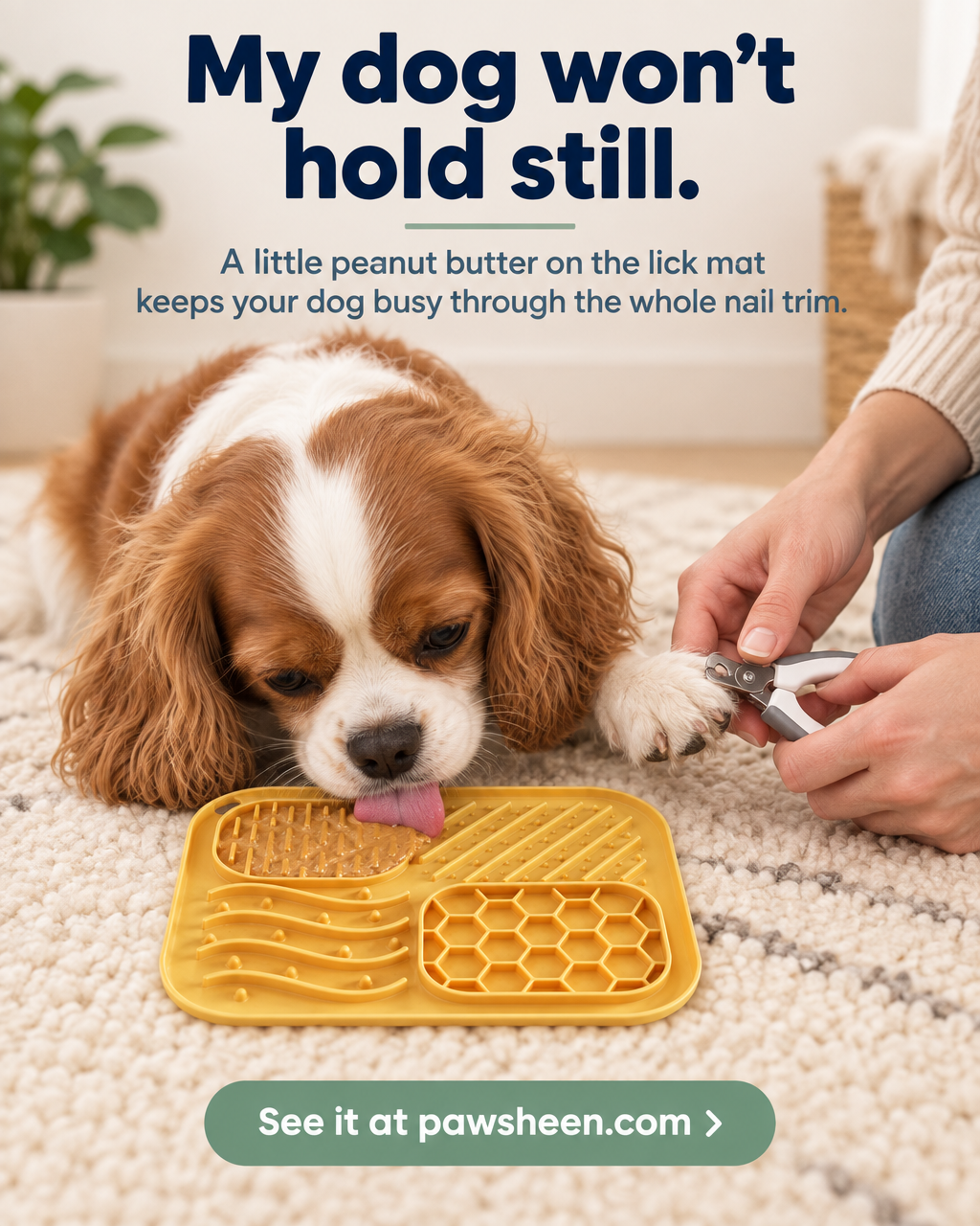 Dog licking peanut butter off the lick mat during a nail trim